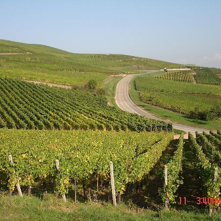 Gite Du Vigneron Turckheim Eksteriør billede